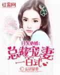 日久必婚总裁宠妻一百式