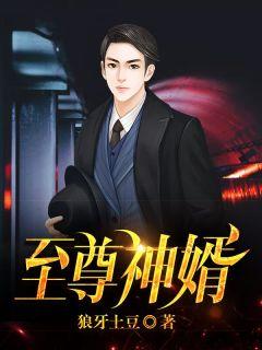 至尊神婿无弹窗
